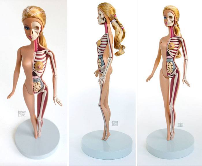 children-cartoon-toy-anatomy-bones-insides-jason-freeny-2