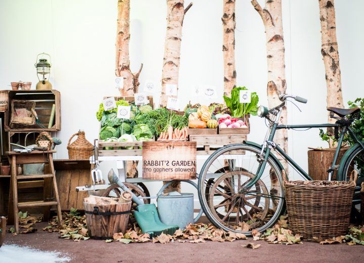 Winnie the pooh phone picture